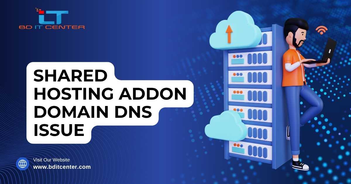 Shared Hosting Addon Domain DNS Issue Fix in Bangladesh